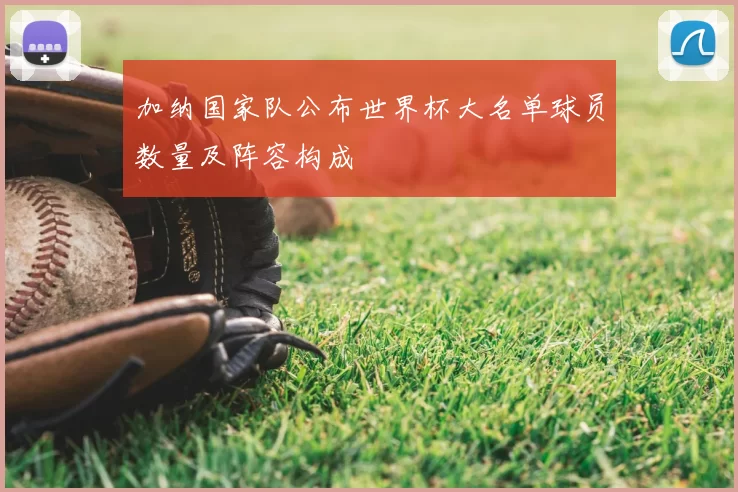 加纳国家队公布世界杯大名单球员数量及阵容构成