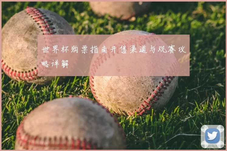 世界杯购票指南开售渠道与观赛攻略详解