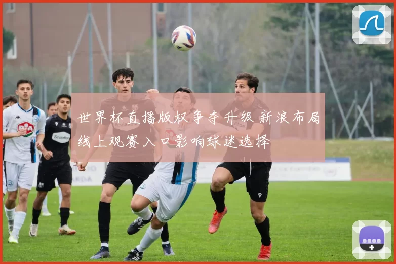 世界杯直播版权争夺升级 新浪布局线上观赛入口影响球迷选择